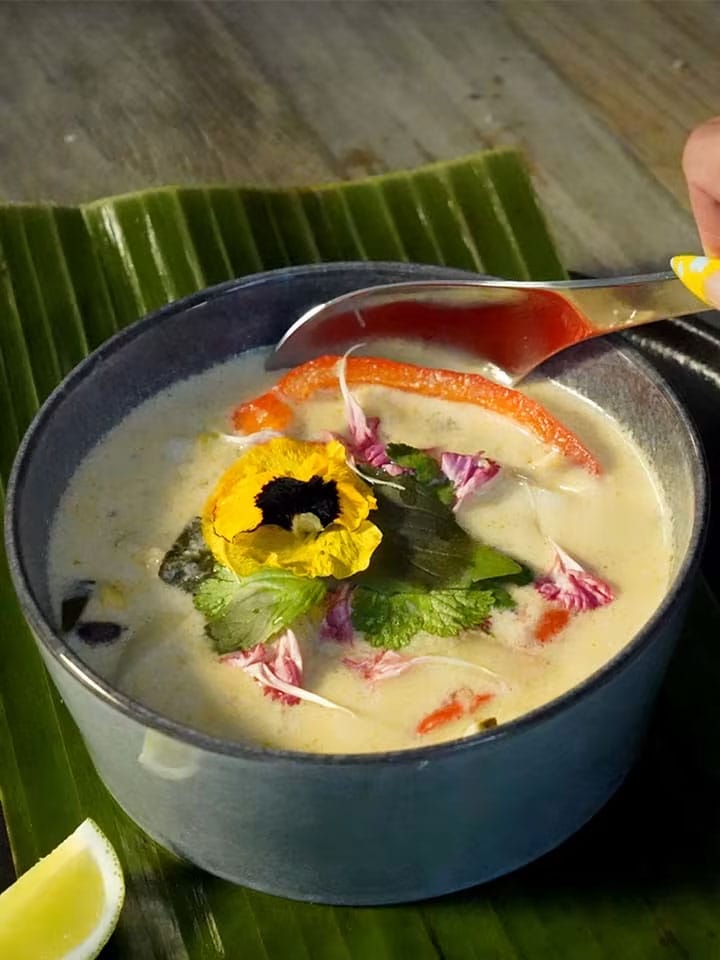 Daring Foods Plant Chicken | Chicken Better. Chicken On.