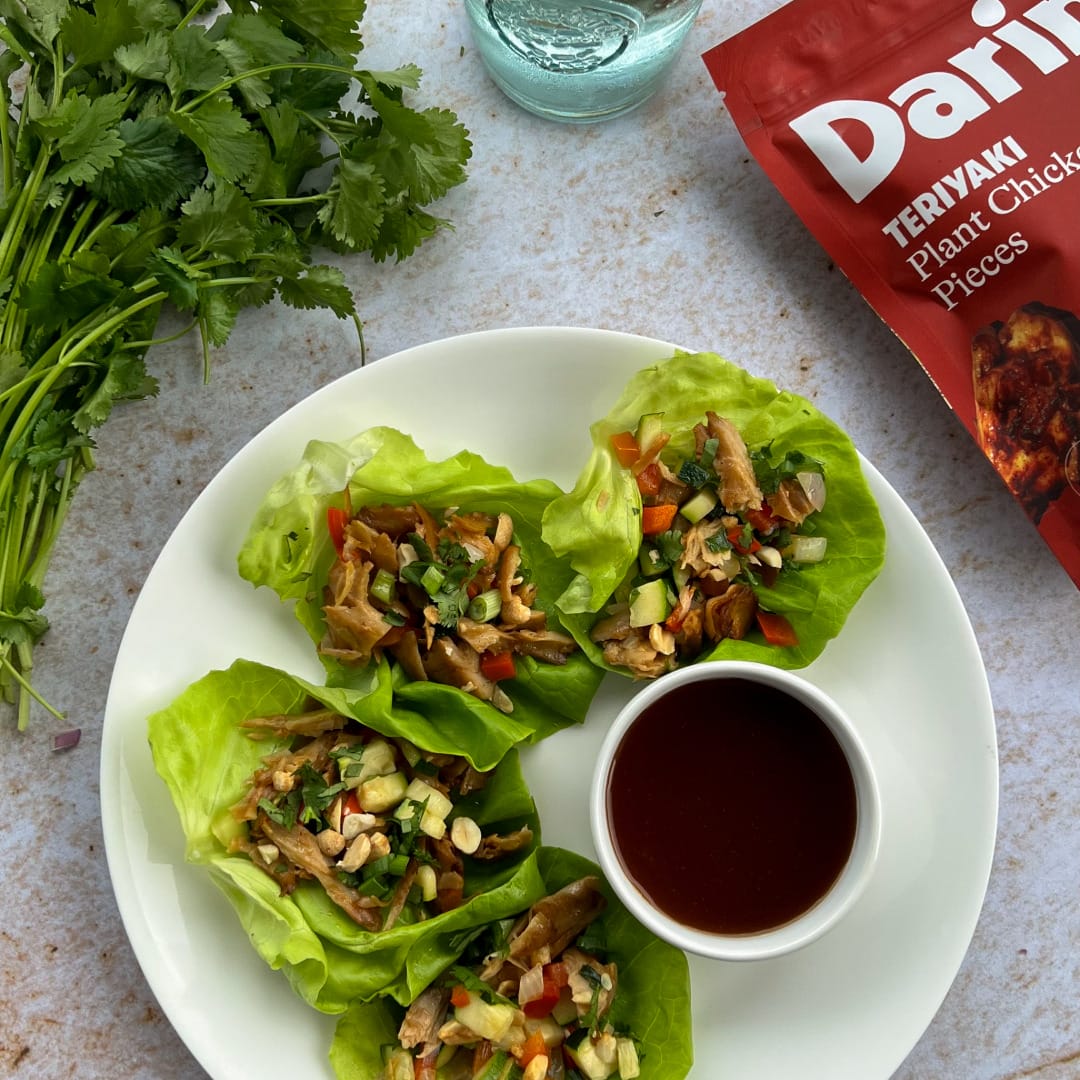 Daring Foods Plant Chicken Chicken Better. Chicken On.